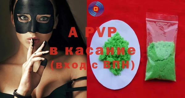 прущие грибы Михайловск