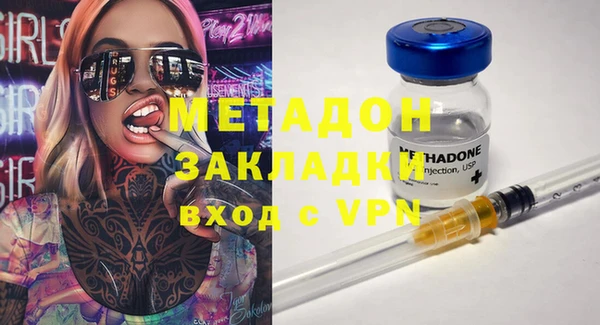 прущие грибы Михайловск
