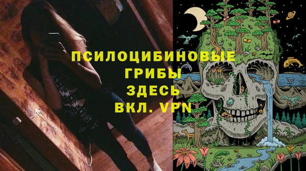 стафф Абинск